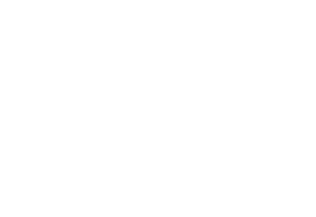 Telviso
